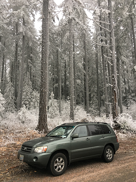 12eKingsleyFrostForestToyota