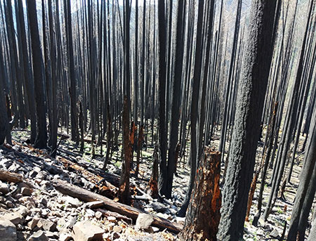 EagleCreekRevisited05