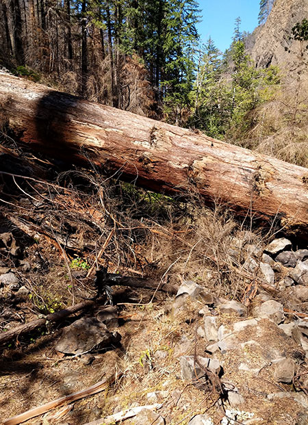 EagleCreekRevisited18