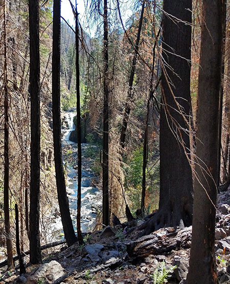 EagleCreekRevisited19