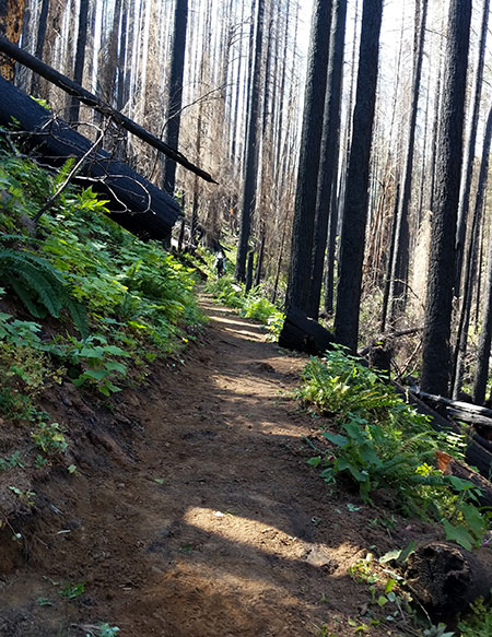 EagleCreekRevisited25