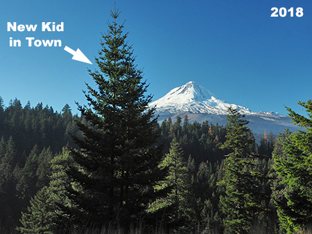 04_2018DufurMillRoad02