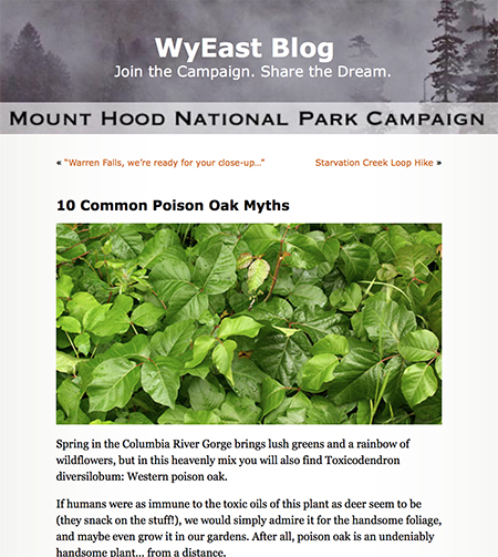 06_10PoisonOakMyths