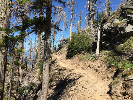 16_EliotCrossingUSFS2017