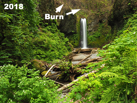 23_2018WeisendangerStreamView