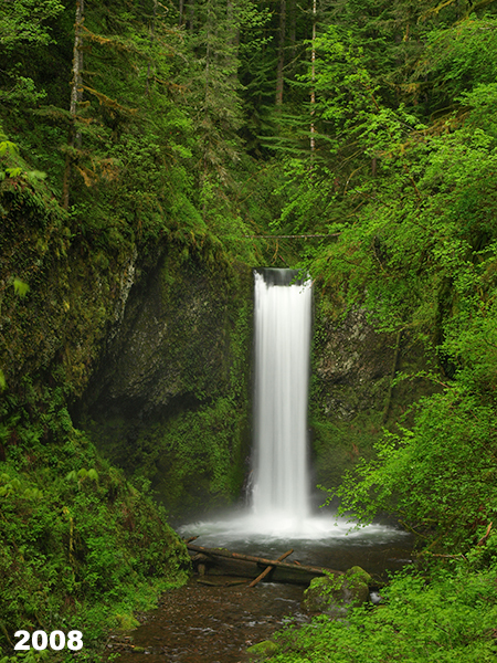 24_2008WeisendangerPortrait