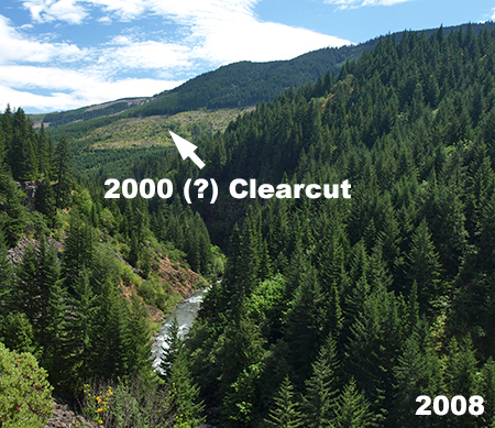 26_WestForkCanyon2008