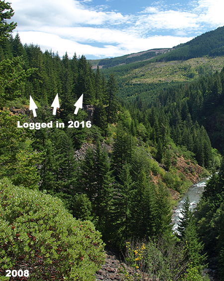 28_WestForkCanyonBluff2008