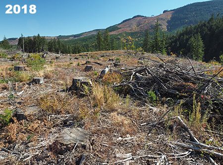 29_WestForkCanyonBluff2018