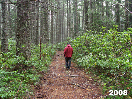 46_NewMcIntyreTrailhead01